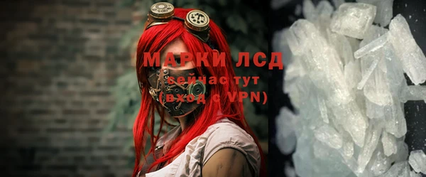 стаф Домодедово