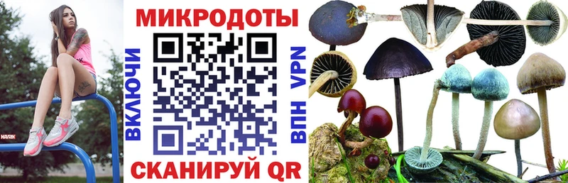 Галлюциногенные грибы MAGIC MUSHROOMS  где купить   Барабинск 