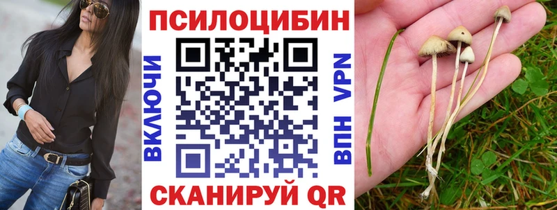 Псилоцибиновые грибы MAGIC MUSHROOMS Барабинск